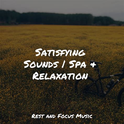 Satisfying Sounds Spa Relaxation Album By Academia De M Sica Para