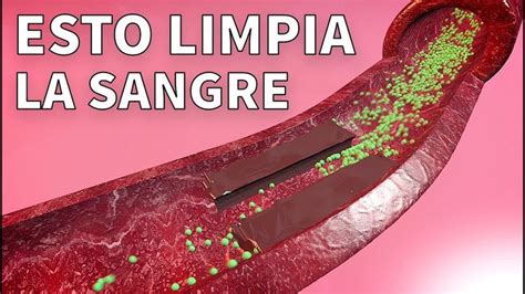 Cómo Limpiar La Sangre 5 Alimentos Para Desintoxicar La Sangre ESTO