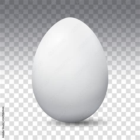 Vector Image Of Eggs On A Transparent Background Easter Egg Stock