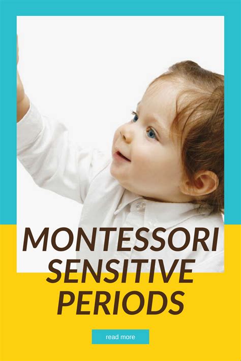 Why Choose Montessori Montessori Vs Constructivism An Explanation Of