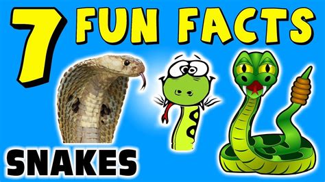 10 Interesting Fun Facts About Snakes Printable Templates Free