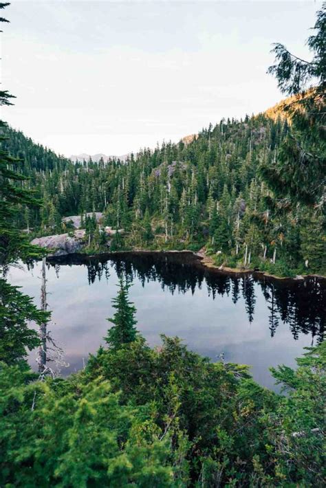 BEDWELL LAKE TRAIL | Strathcona Park - Wild About BC