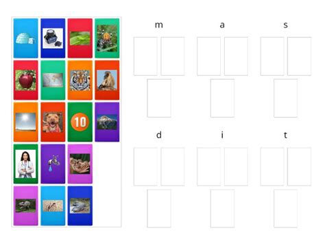 Masdti Phonics Initial Sound Picture Matching Group Sort