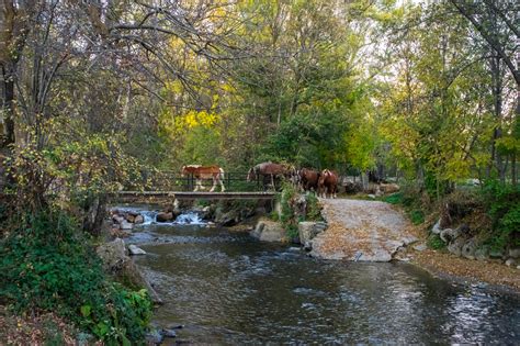 ¿qué Ver En La Cerdanya 7 Joyas Por Descubrir