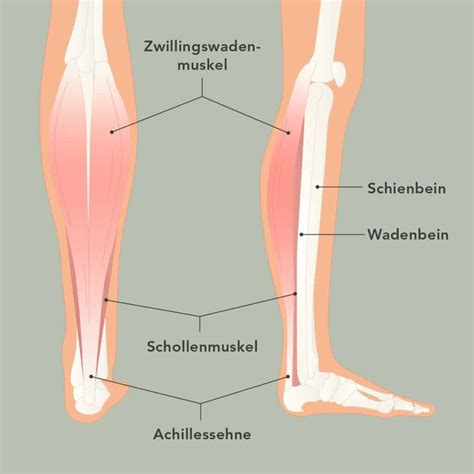 Top Übungen gegen Achillessehnenschmerzen Liebscher Bracht