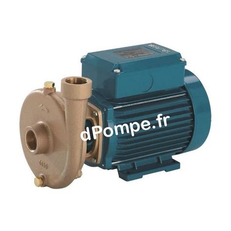 Pompe Centrifuge Calpeda Bcm A R Bronze Tropicalis E R Xyxyrzy