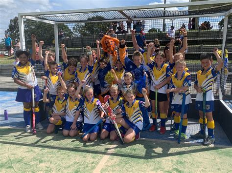 Taree Tigers Hockey Club Official Under 11s Today Our U11s Gold And