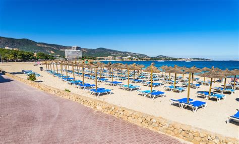 Transfer To Palma Nova Beach