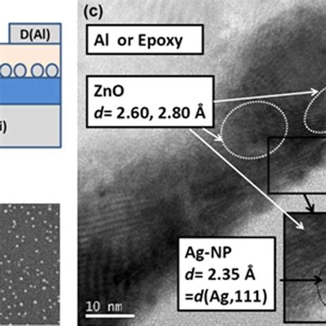 Color Online A Schematic Of The Zno Ag Np Memory Tft And B Sem Image Of