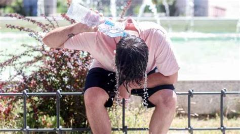 Sí El Calor Puede Derretir Tus Neuronas Así Dañan Las Altas