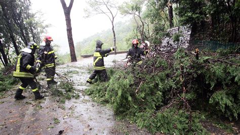 Alberi E Rami Caduti Per Maltempo E Vento Forte Raffica Di Interventi