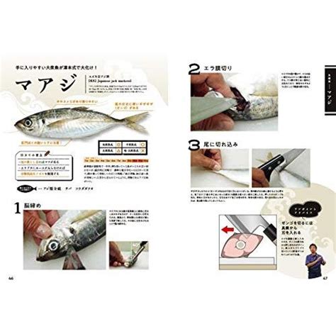 魚食革命『津本式 究極の血抜き』完全版 ルアマガブックス 7 White8a85fbd587 White Wings2 通販