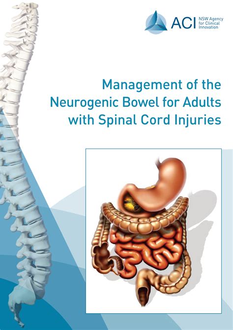 Management Of The Neurogenic Bowel For Adults With Spinal Cord Injuries