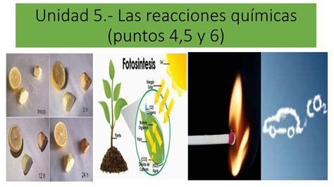 Pdf Unidad Las Reacciones Qu Micas Pdfslide Net