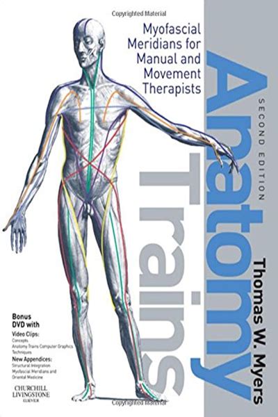 Anatomy Trains Myofascial Meridians For Manual And Movement Therapists