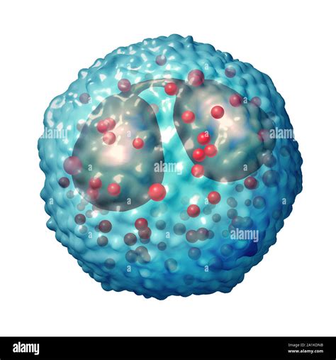 Osinophile