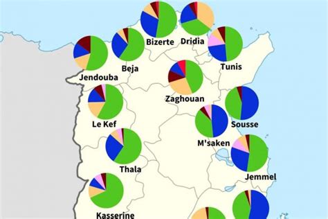 Living In Tunisia Expat Guide To Life Work And Culture Carthage