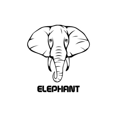 Elefant Logo Illustration Vektor Design Premium Vektor