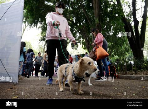 Ciudad de México México 22º de julio de 2023 22 de julio de 2023