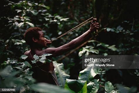 Mbuti Pygmies Photos And Premium High Res Pictures Getty Images