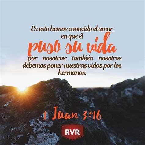 Rvr Vers Culo B Blico Diario Juan Frases Espirituales