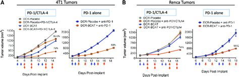 Anti Pd 1 Therapy Alone Is Sufficient To Sensitize Tumors To Dcr Bcat Download Scientific