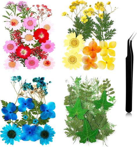 Amazon Nuanchu Pressed Flowers Resin Flowers For Resin Mold Real