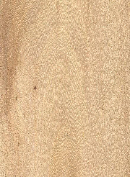 Cedar Elm The Wood Database Hardwood