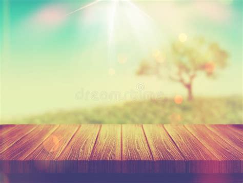 Table En Bois Avec Le Paysage Darbre Avec Leffet De Vintage Photo