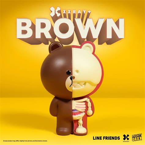 Line Friends Brown Bear Mighty Jaxx Xxray Plus X Jason Freeny Dissected