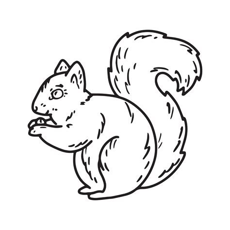 Sketch Illustration Of A Squirrel With A Nut Vector Art At Vecteezy