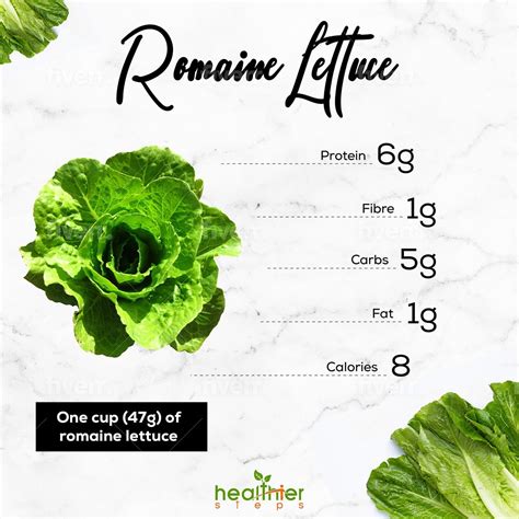 Romaine Lettuce Carbs At Tia Curtis Blog