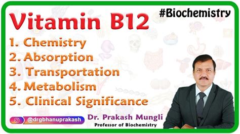 Vitamin B12 Chemistry Absorption Transportation Metabolism Clinical Significance Usmle