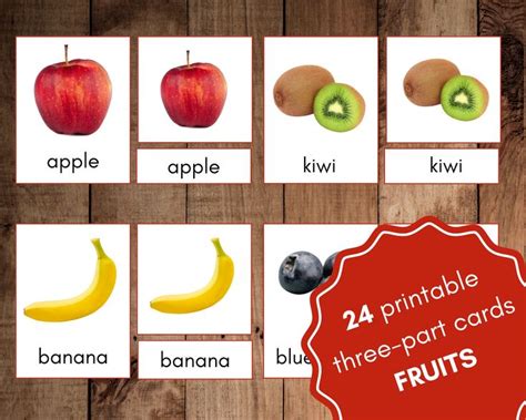 Printable Three Part Cards Fruit Real Pictures Montessori Nomenclature