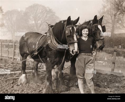 Land Girls Wwii Stock Photo Alamy