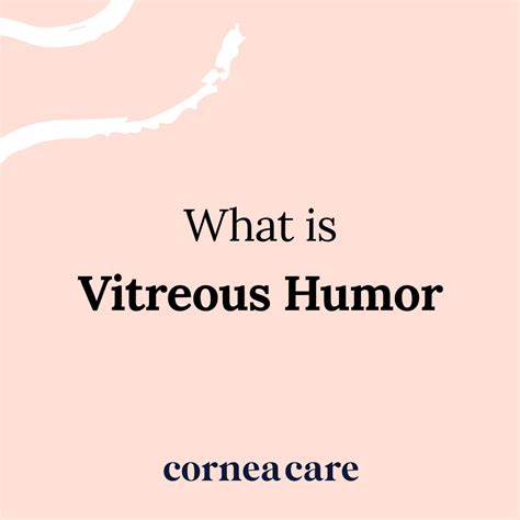 Vitreous Humor - CorneaCare