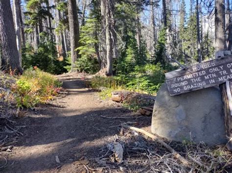 Best Hikes and Trails in Mount Adams Recreation Area | AllTrails