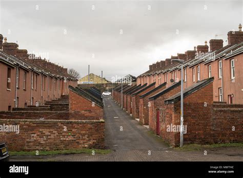 The back lane of Howick Terrace, two rows of terraced houses in ...