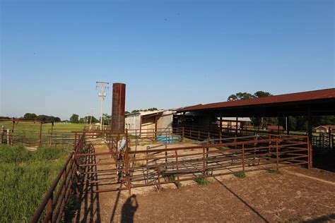 Texas Cattle Ranch For Sale For Sale In De Kalb Tx Bowie County