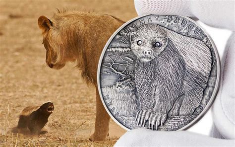 Mint of Poland week: Maniac Honey Badger launches Brave Animals series ...