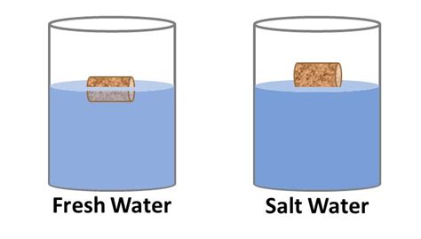 Buoyancy In Physics Salt And Water Experiment