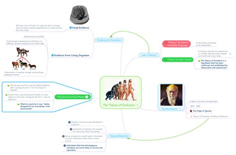 The Theory of Evolution: MindMeister mind map template | Biggerplate