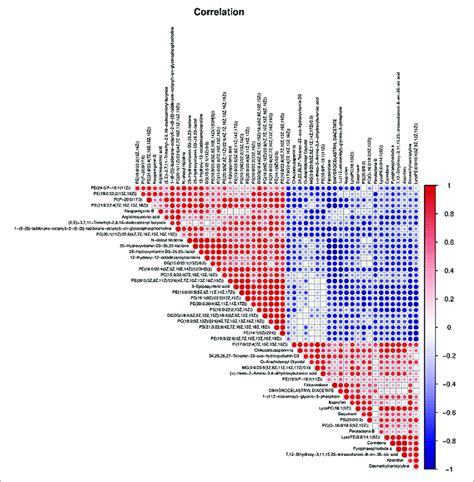 The Correlation Analysis Of Overall Differential Metabolites From The