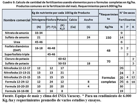 Sembrar Maíz Para Altos Rendimientos Gerencia Y Precisión En Prácticas Agrícolas