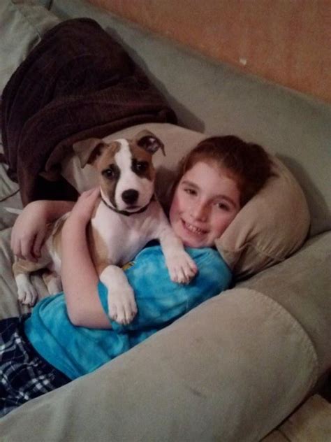 Starelief And Pet Assistance Reviews And Ratings Stamford Ct