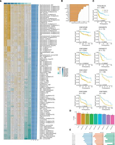 Frontiers Machine Learning Based Identification Of Tumor Infiltrating Immune Cell Associated