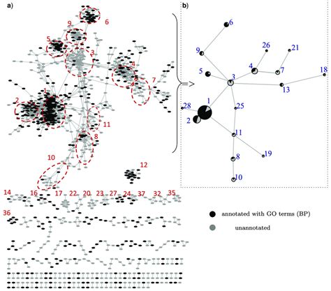 Visualization of the gene network: a) The gene network obtained from ...