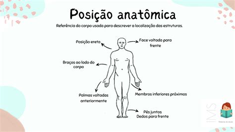 Qual é A Posição Anatomica Fdplearn