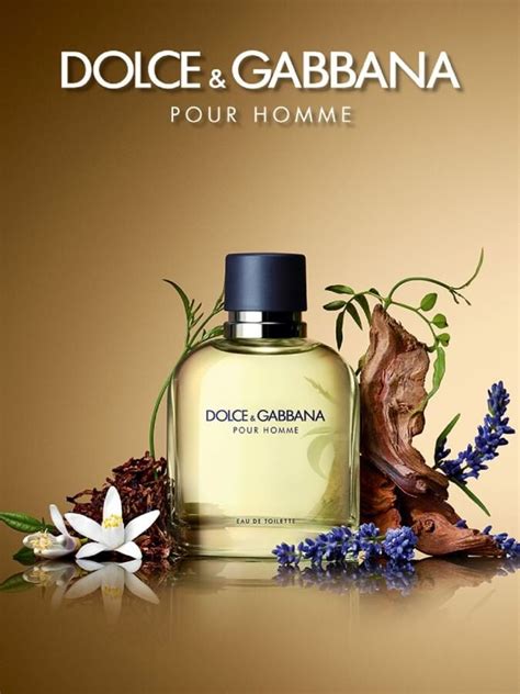 Dolce Gabbana Pour Homme EDT Erkek Parfüm 125ml - Sevil Parfümeri