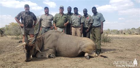 Eland Hunting Zimbabwe